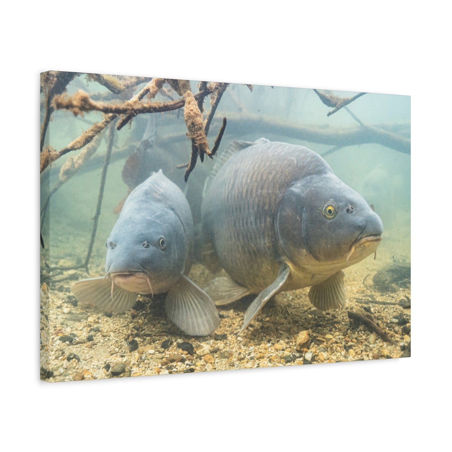 Submerged Giants Canvas Print