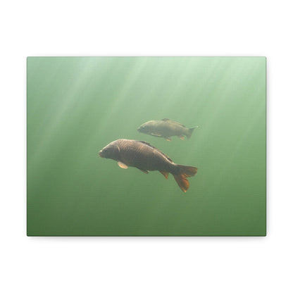 Carp in the Light Canvas Print