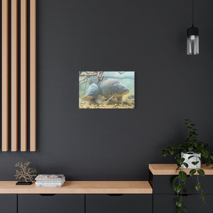 Submerged Giants Canvas Print