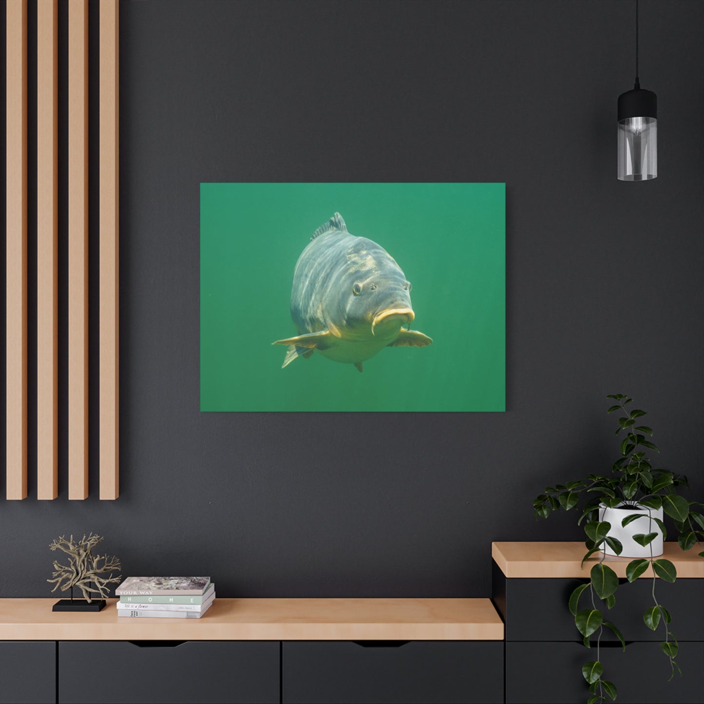 Face to Face Carp Canvas Print