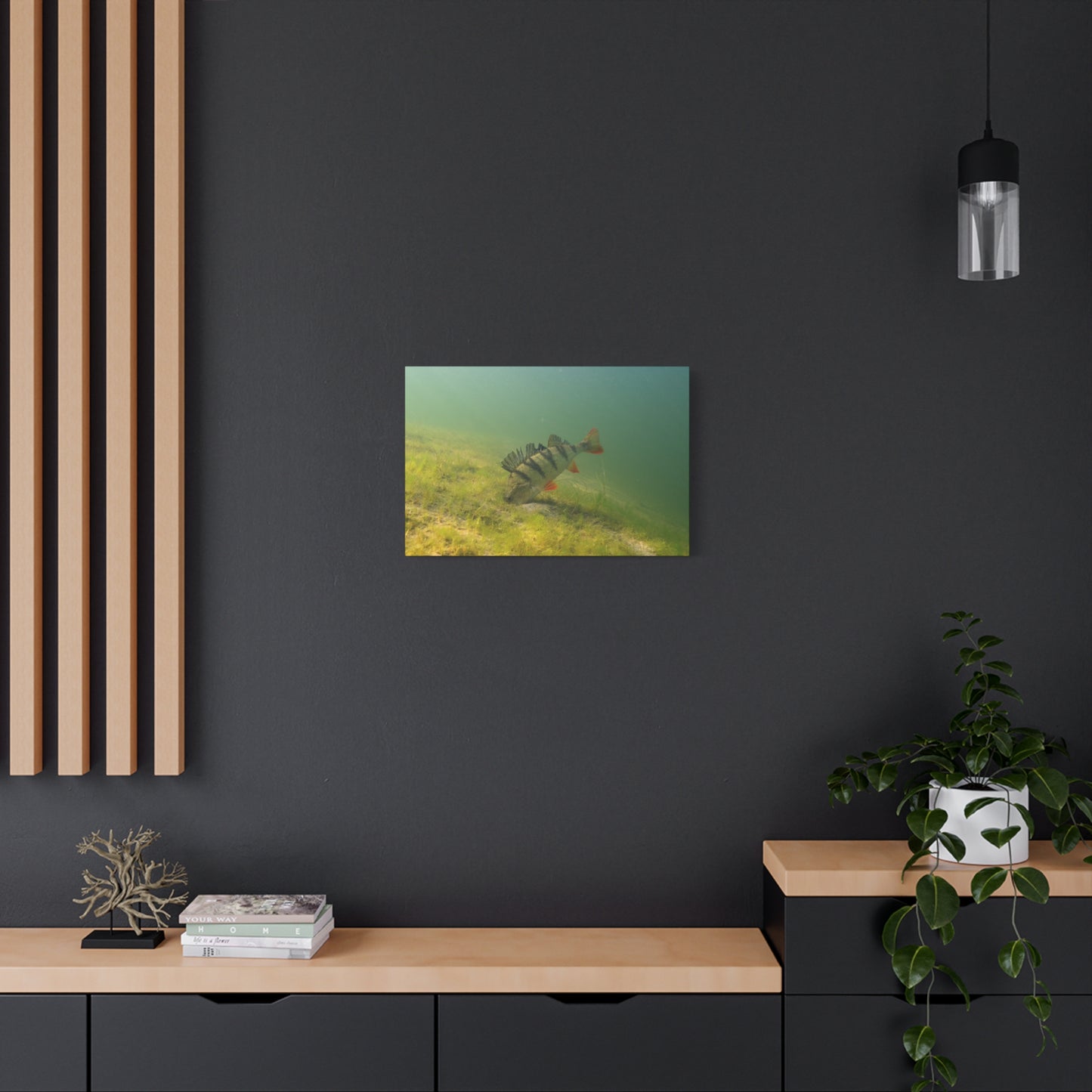 Perch in the Shadows Canvas Print