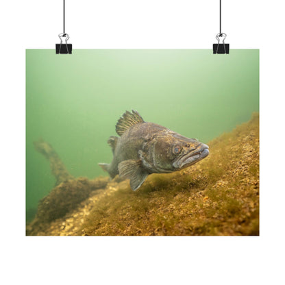 Silent Predator Poster