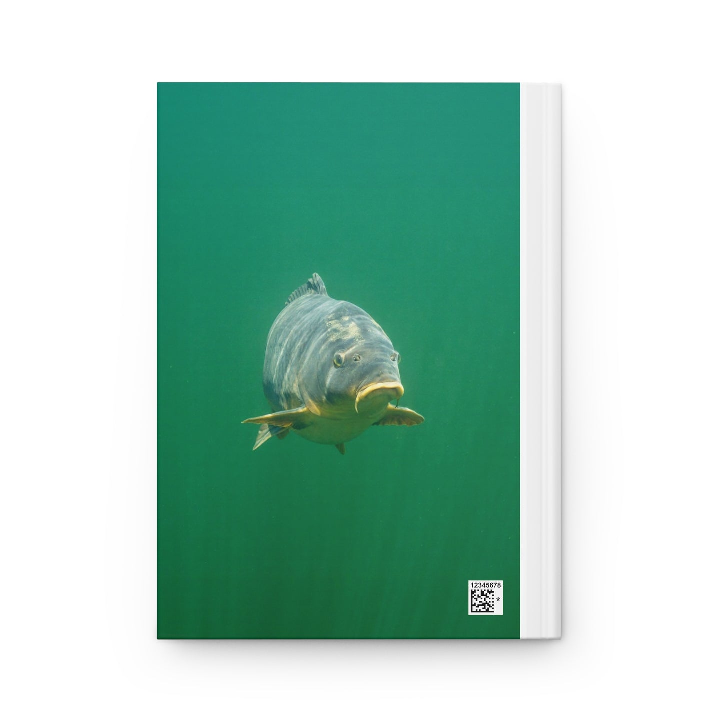 Carp Explorer Journal