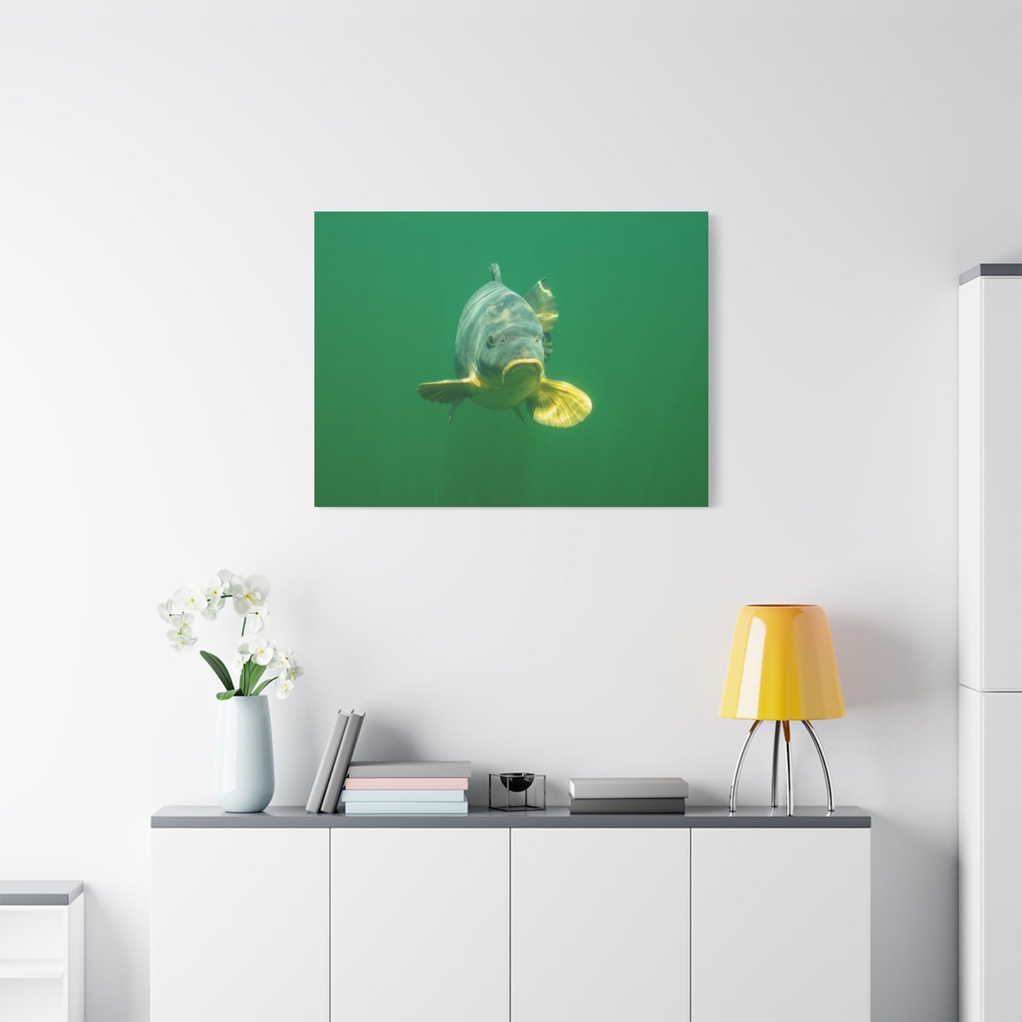 Carp Focus Canvas Print