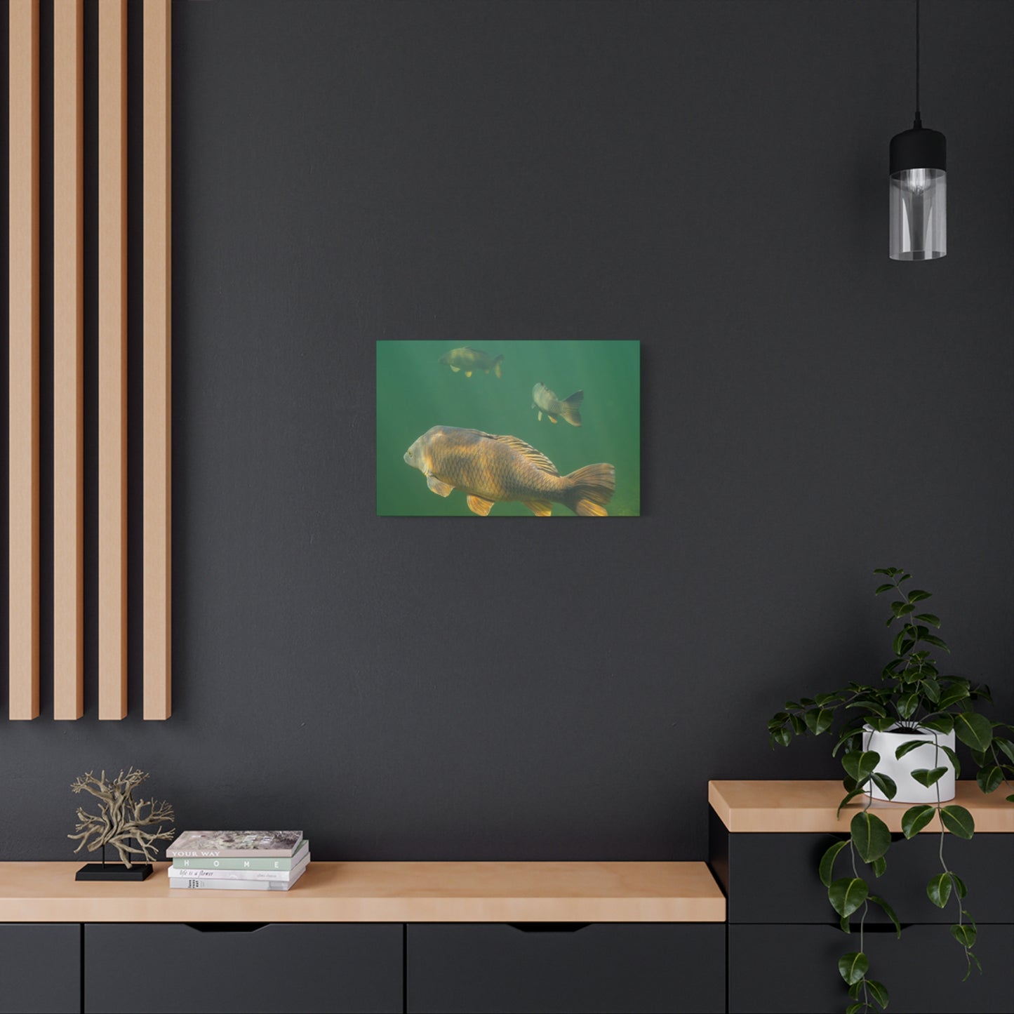 Carp Journey Canvas Print