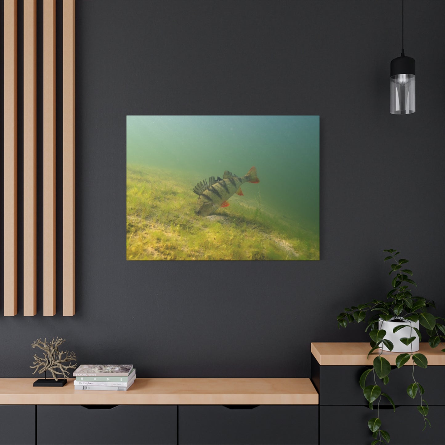 Perch in the Shadows Canvas Print