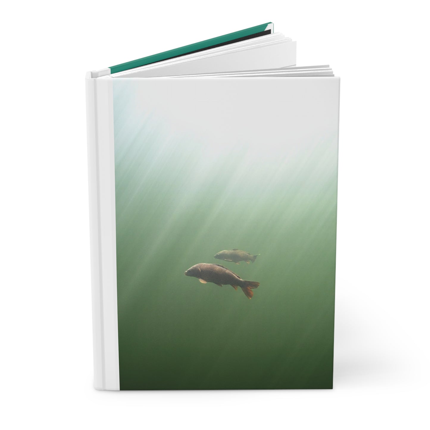 Carp Explorer Journal