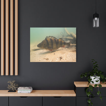 Perch on the Move Canvas Print