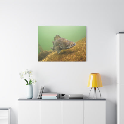 Silent Predator Canvas Print
