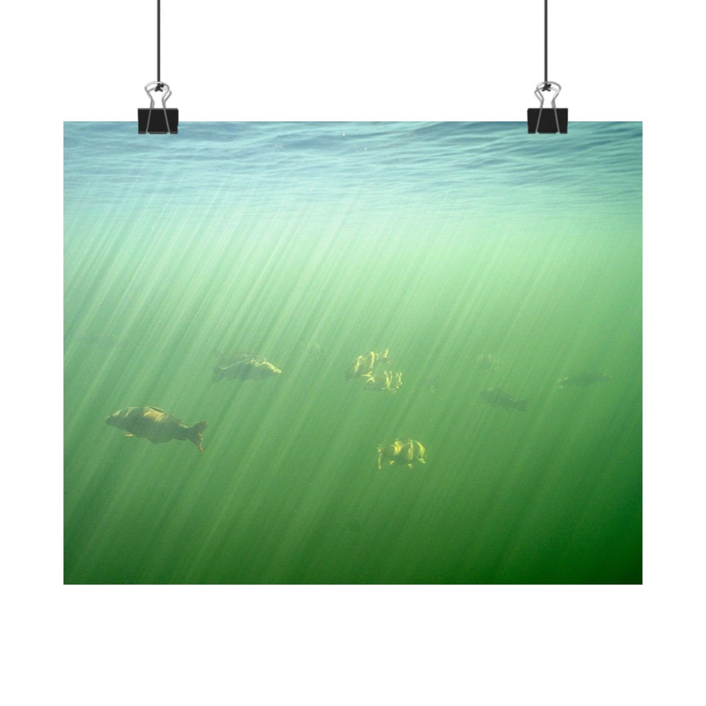 Midwater Cruisers Poster