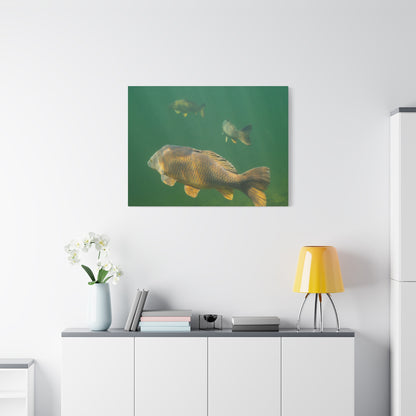 Carp Journey Canvas Print