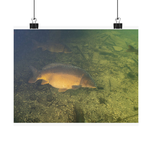 Golden Depths Poster