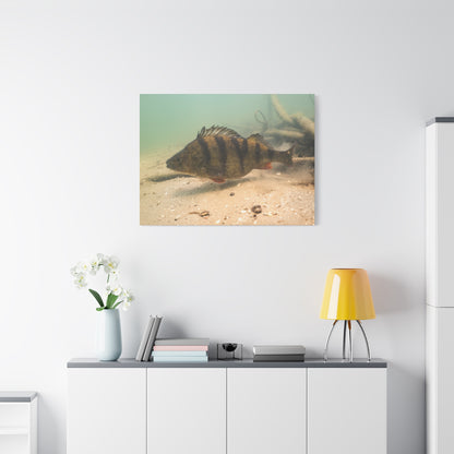 Perch on the Move Canvas Print