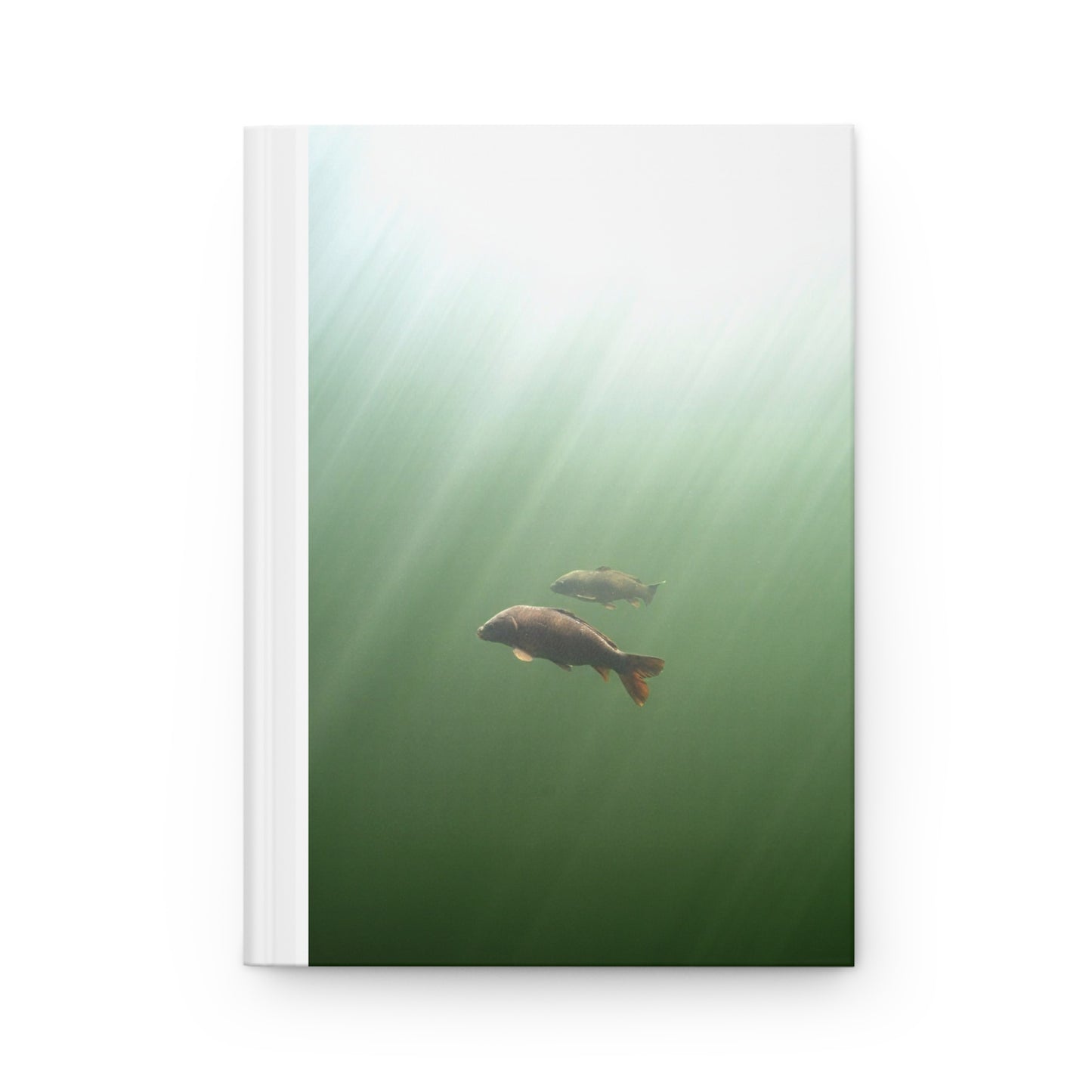 Carp Explorer Journal