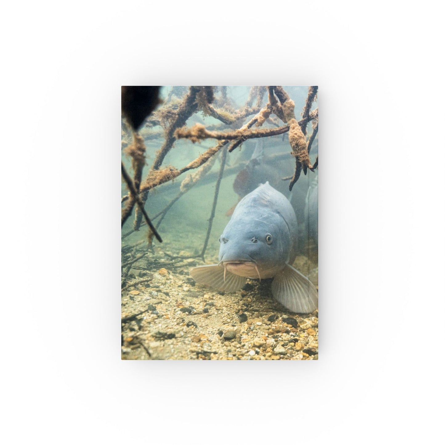 Submerged Giants Hardcover Journal