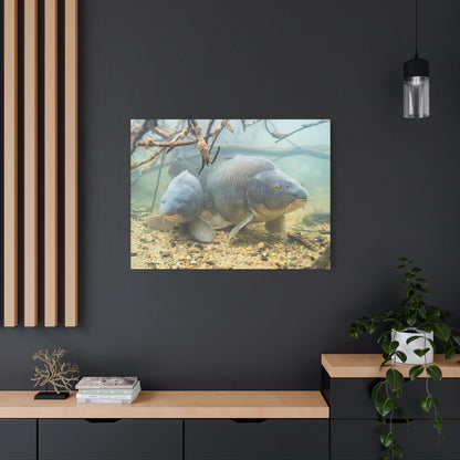 Submerged Giants Canvas Print