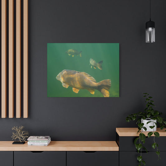 Carp Journey Canvas Print