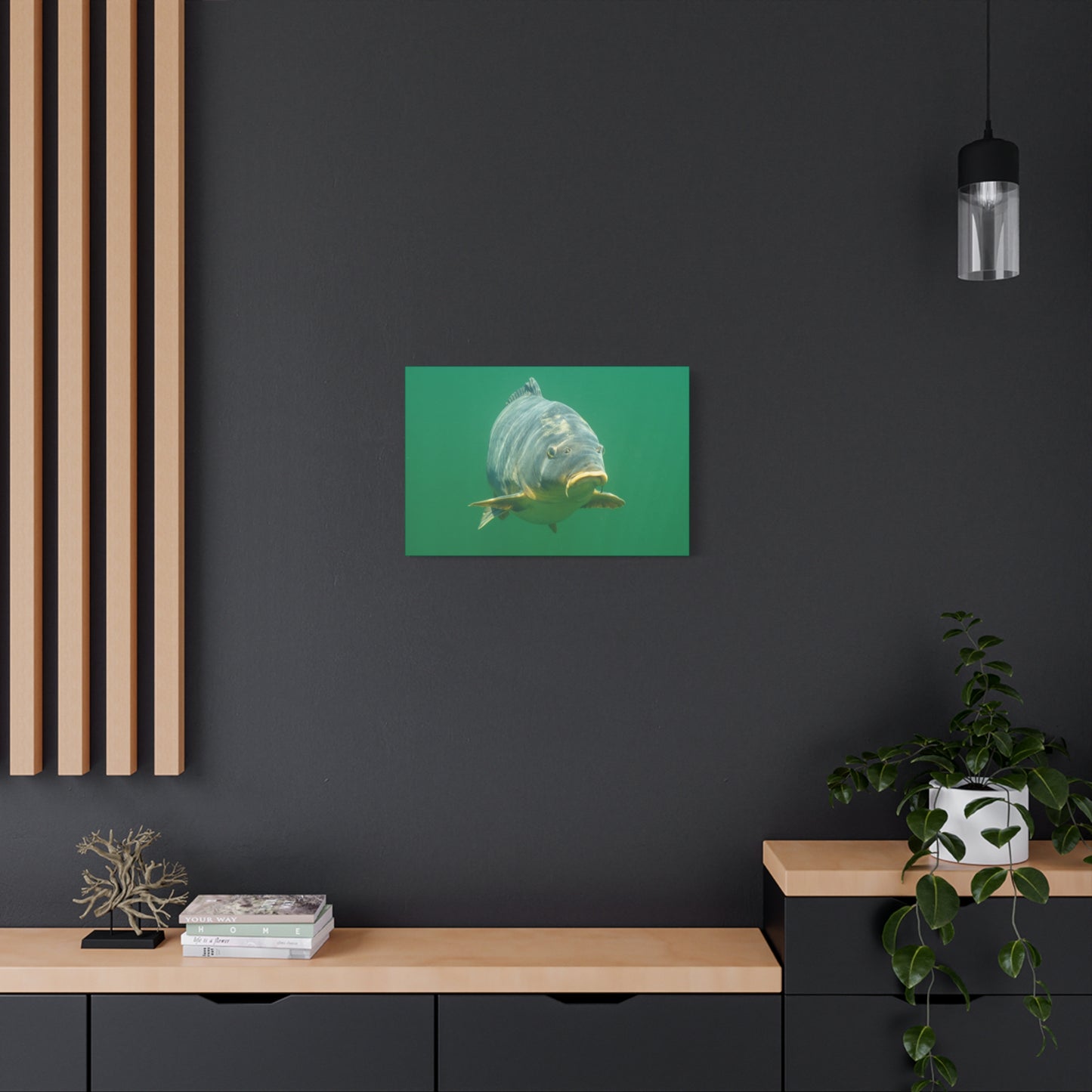 Face to Face Carp Canvas Print