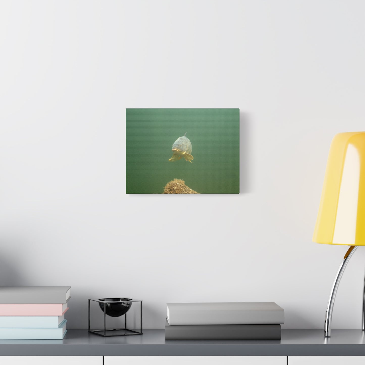 Lone Carp Canvas Print