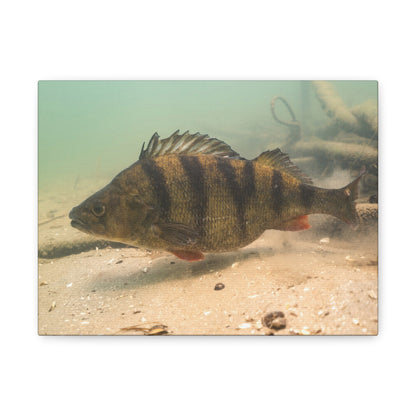 Perch on the Move Canvas Print