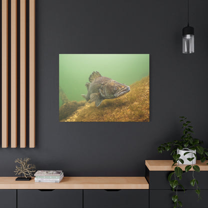 Silent Predator Canvas Print