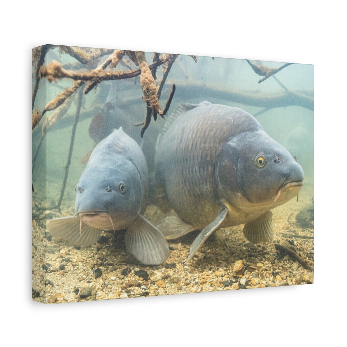 Submerged Giants Canvas Print