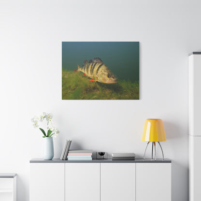 Striped Hunter Canvas Print