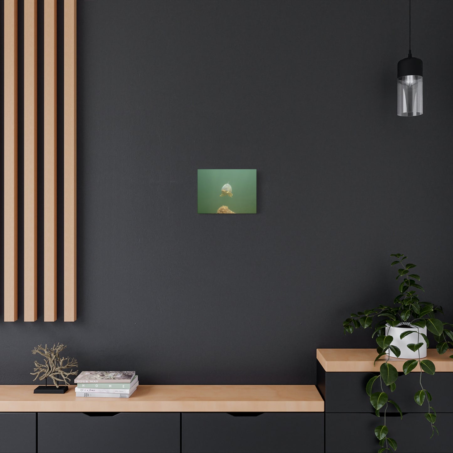 Lone Carp Canvas Print