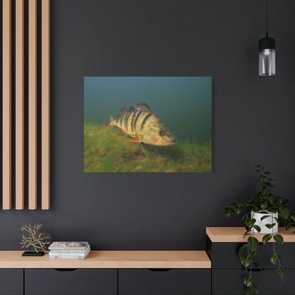 Striped Hunter Canvas Print