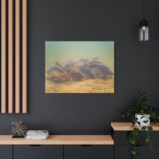 Carp School Canvas Print