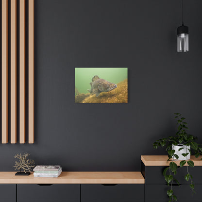 Silent Predator Canvas Print