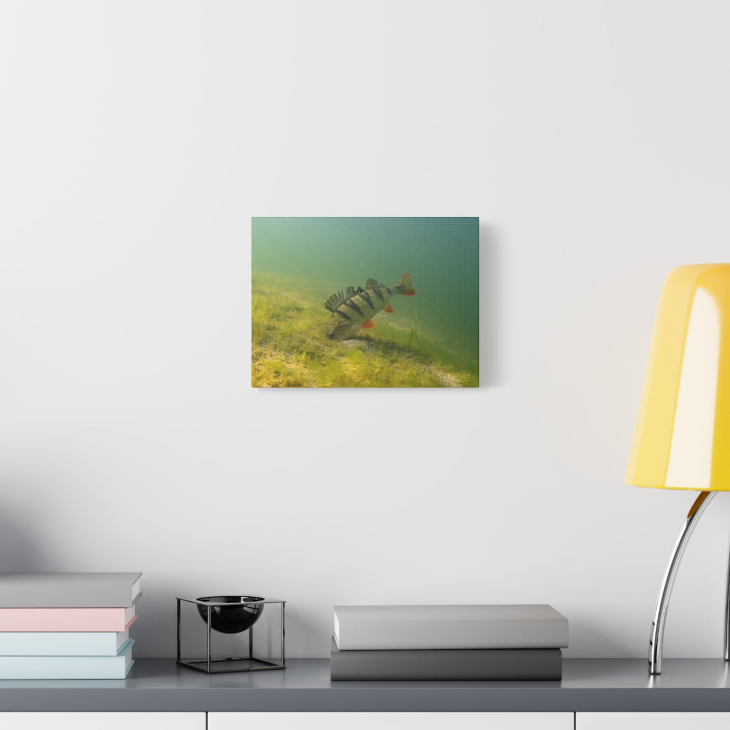 Perch in the Shadows Canvas Print