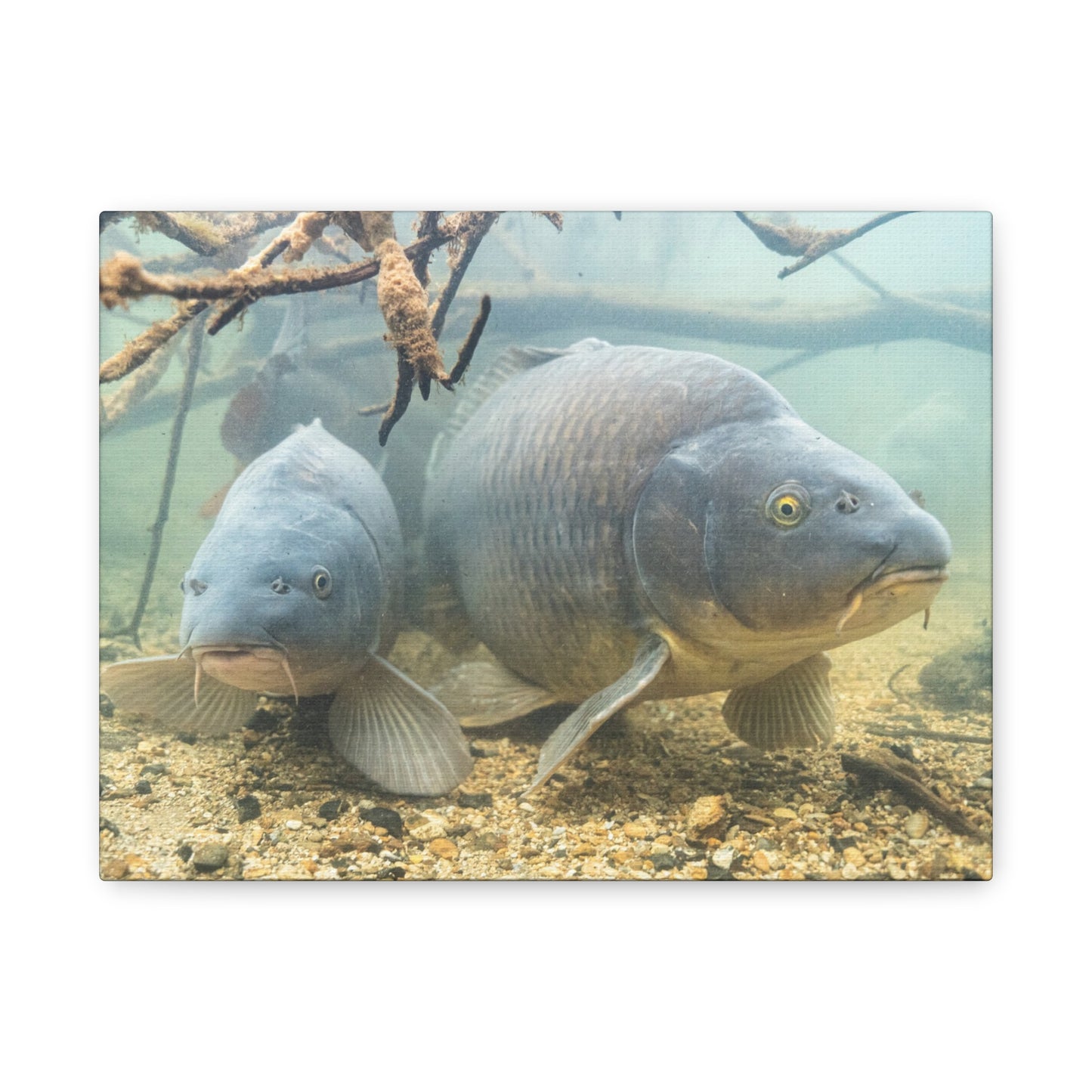 Submerged Giants Canvas Print